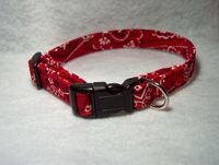 Red Bandana Dog collar